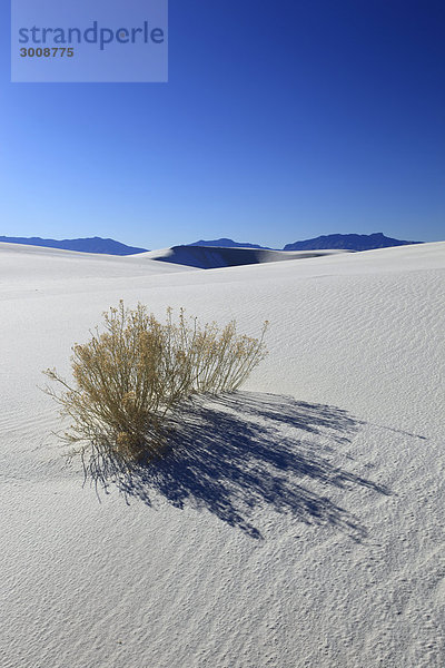 Gips  Sanddünen  White Sands National Monument