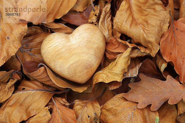Detail Details Ausschnitt Ausschnitte Liebe Konzept Symbol Wald Holz Close-up Herbst 2 1 herzförmig Herz braun Laub Moos Schweiz