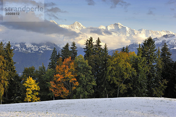 Landschaftlich schön landschaftlich reizvoll Berg Wolke Landschaft Alpen Herbst Bern Schnee Schweiz Kanton Bern