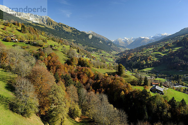 Farbaufnahme Farbe Landschaftlich schön landschaftlich reizvoll Berg Baum Tal Alpen Herbst Kanton Graubünden Schweiz