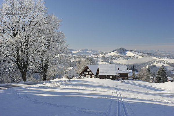 Schweiz  Landschaft  Rehetobel  Speicher  winter