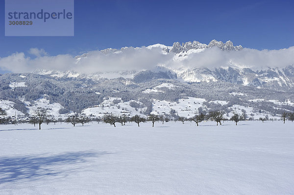 Landschaftlich schön landschaftlich reizvoll Berg Winter Wolke Baum Landschaft Kreuzberg Rheintal Schnee Schweiz