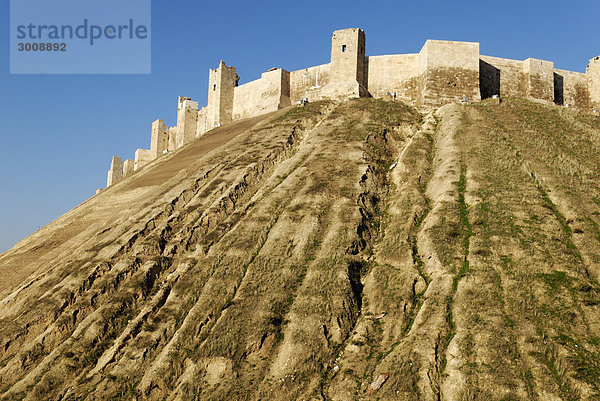 historische  Citadel  Aleppo  Syrien  Arabien  Mitte