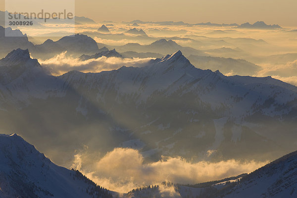 Landschaftlich schön landschaftlich reizvoll Berg Winter Sonnenuntergang Landschaft Alpen Ansicht Abenddämmerung Schnee Schweiz Dämmerung Nebelmeer