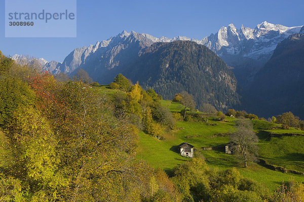 Landschaftlich schön landschaftlich reizvoll Pferdestall Berg Baum Landschaft Alpen Herbst Kanton Graubünden Soglio Schweiz