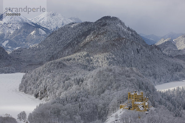 Hohenschwangau  Deutschland  Bayern  Burg  Winter