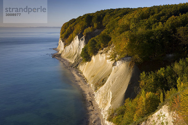 Felsbrocken Landschaftlich schön landschaftlich reizvoll Landschaft Küste Wald Meer Holz Herbst Ostsee Baltisches Meer Deutschland Nationalpark Jasmund