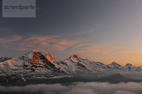 Landschaftlich schön landschaftlich reizvoll Berg Landschaft Nebel Alpen Ansicht Faulhorn Eiger Bern Schweiz Dämmerung Kanton Bern Nebelmeer