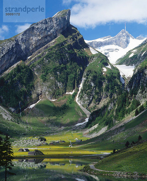 Alpstein Appenzell -Bereich  Alpen  alpine  Berg
