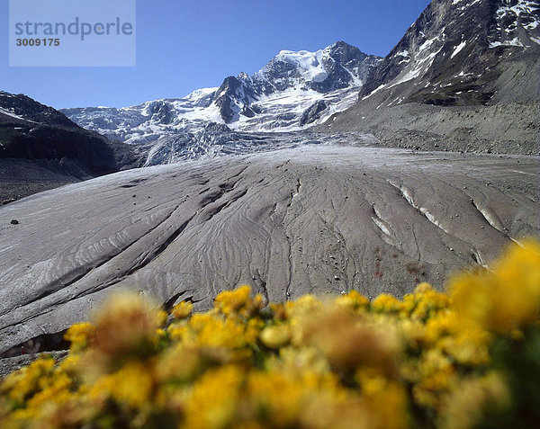 Landschaftlich schön landschaftlich reizvoll Berg Blume Landschaft Eis Natur Alpen Schweiz Kanton Wallis
