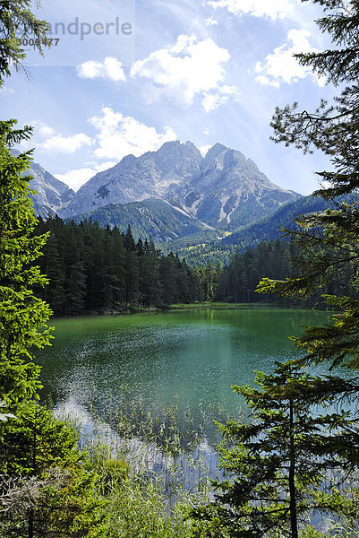 Mittersee am Fernpass Tirol Österreich vor der Zugspitze