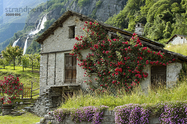 Borgonuovo bei Chiavenna nördlich des Lago Maggiore Lombardei Italien kleines Steinhaus vor dem Wasserfall Acqua Fraggia