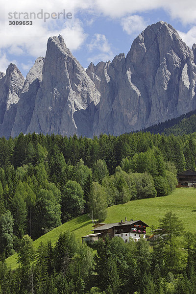 Bauernhöfe und Bergspitzen der Geisler Gruppe  Villnößtal  Südtirol  Italien