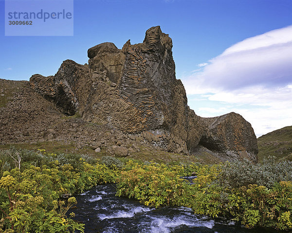Wildbach mit Engelswurz (Angelica archangelica) und Felsformation genannt Gloppa  Jökulsarglufur (Jökuls·rgl_fur) Nationalpark  Island