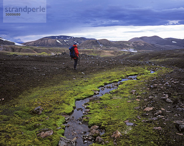 Kleine Quelle mit leuchtend grünem Quellmoos  Laugavegur  Landmannalaugar  Island