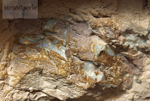 Opalflöz in einer Mine in Coober Pedy  Südaustralien  Australien