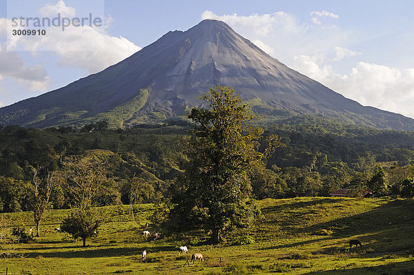 Vulkan Arenal  Costa Rica  Mittelamerika