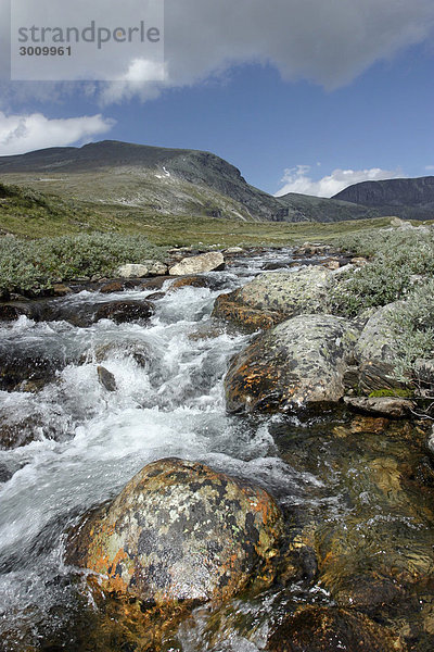Stroplsjoedalen-Tal  Dovrefjell Nationalpark  Norwegen  Skandinavien  Nordeuropa