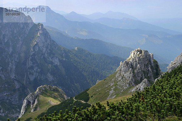 Felsen unter dem Giewont-Gipfel  Czerwone Wierchy  Nationalpark Tatra-Gebirge  Polen  Europa