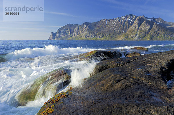 Wellen prallen auf Küstenfelsen  Austvagoy  Lofoten  Norwegen  Skandinavien  Europa