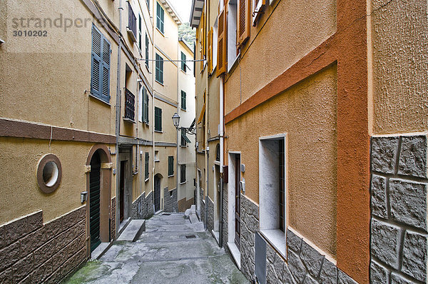 Narrow alley in Vernazzo  Liguria  Cinque Terre  Italy  Europe