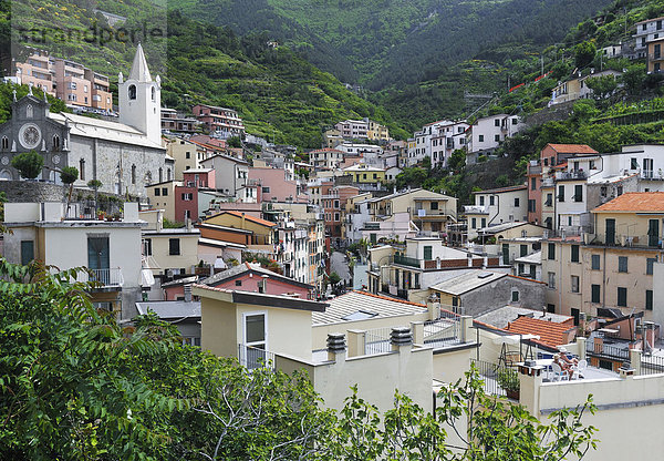 Village of Riomaggiore  Liguria  Cinque Terre  Italy  Europe