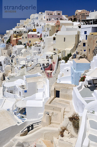 Blick auf den Ort Oia  Ia  mit typischer verschachtelter Kykladenarchitektur  Santorin  Kykladen  Griechenland  Europa