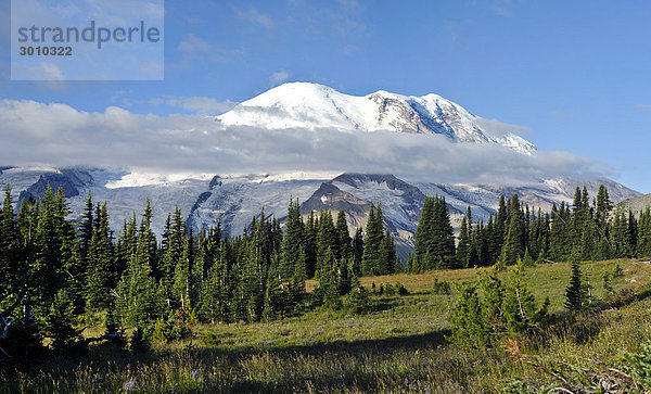 Vergletscherter Gipfel des Mount Rainier  Mt. Rainier National Park  Washington  USA  Nordamerika