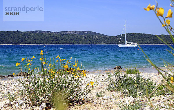 Blick vom Strand auf Bucht mit Segelboot  Sebenik  Kroatien