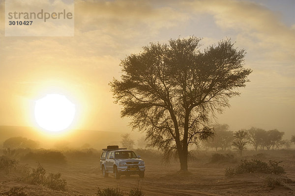 Geländewagen Toyota Hilux im Morgennebel in der Wüste bei Sossusvlei  Namibia  Afrika