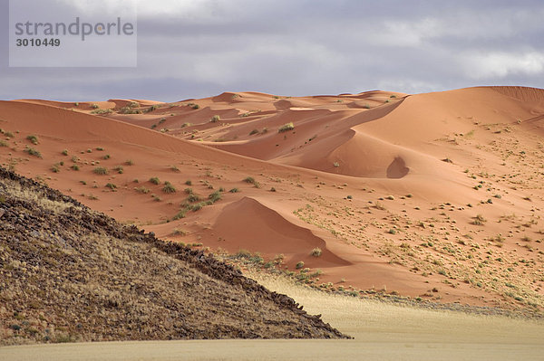 Sanddünen der Namib an der D0707  Namibia  Afrika
