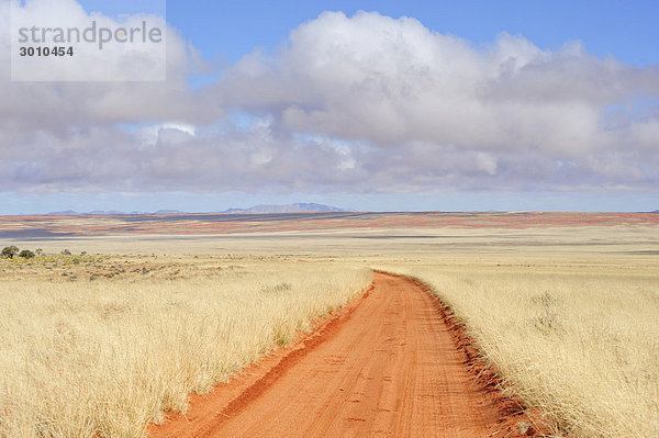 Farmstraße zur Namtib Gästefarm vor der Namib  Namibia  Afrika