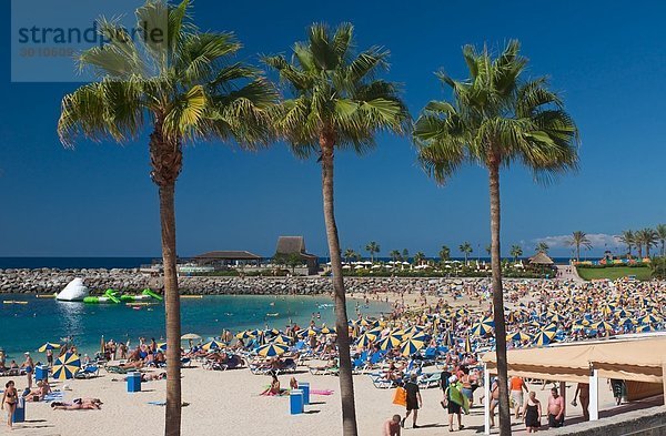 Touristen am Playa de Amadores  drei Palmen im Vordergrund  Puerto Rico  Gran Canaria  Kanarische Inseln  Spanien