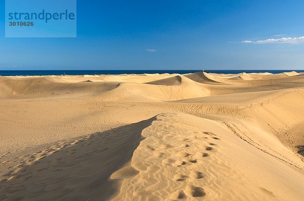 Sanddünen von Maspalomas  Gran Canaria  Kanarische Inseln  Spanien
