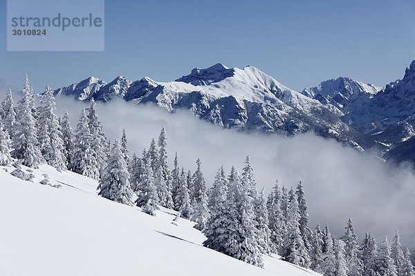 Blick vom Wank zum Karwendelgebirge  nahe Garmisch-Partenkirchen  Werdenfelser Land  Oberbayern  Bayern  Deutschland