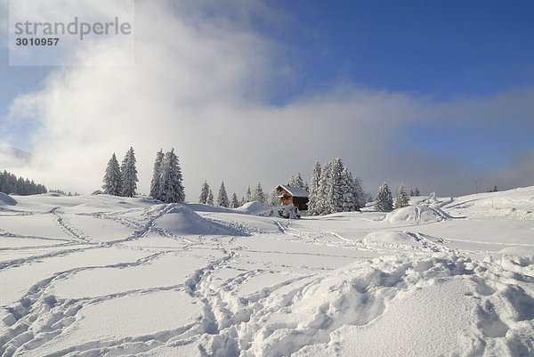Winterlandschaft in den Schweizer Alpen - Kanton Appenzell Ausserrhoden  Schweiz  Europa.