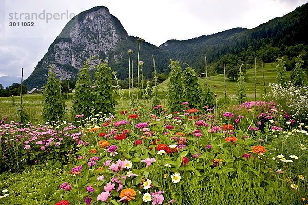 Fruchtbares Tal im Nationalpark Triglav  Slowenien