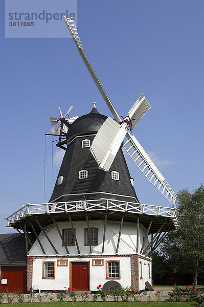 Alte Windmühle  Ringsted  Dänemark  Europa
