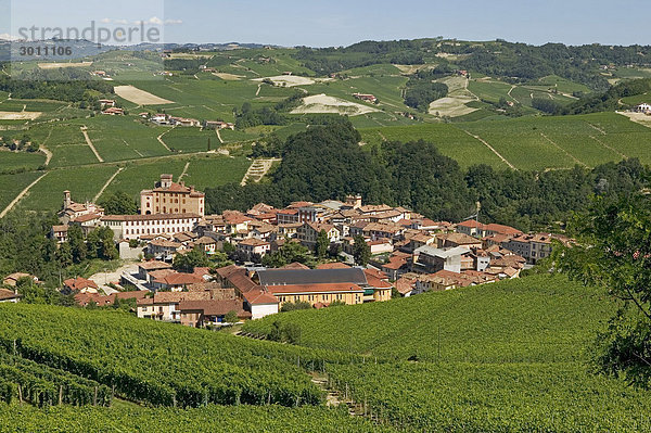 The village Barolo  Italy  Europe