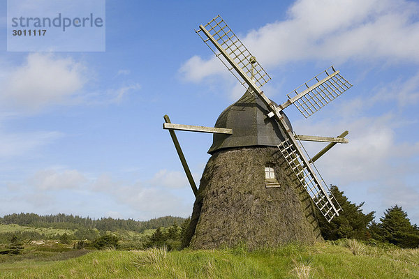 Alte heidegedeckte Windmühle im nördlichen Jütland  Dänemark