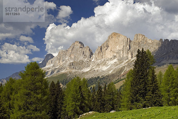 Rosengarten-Gruppe  Dolomiten  Südtirol  Italien  Europa