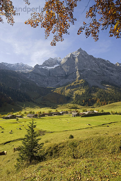 Eng-Alm  dahinter Spritzkarspitze  Karwendel-Gebirge  Tirol  Österreich  Europa