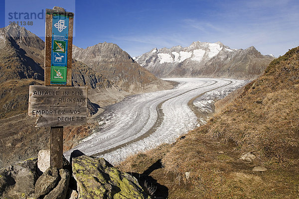 Naturschutzgebiet Grosser Aletschgletscher  Wallis  Schweiz  Europa