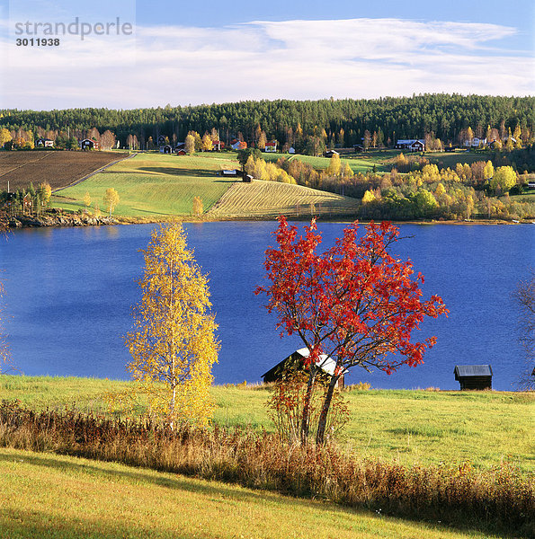 Ackerland im Norden von Schweden