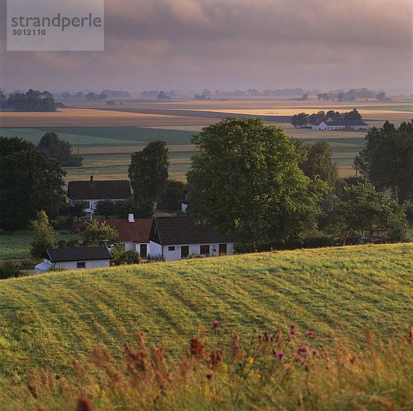 Blick über kultiviertem Land Skane Schweden