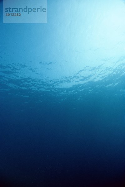 Unterwasser Bild von außerhalb der Malediven