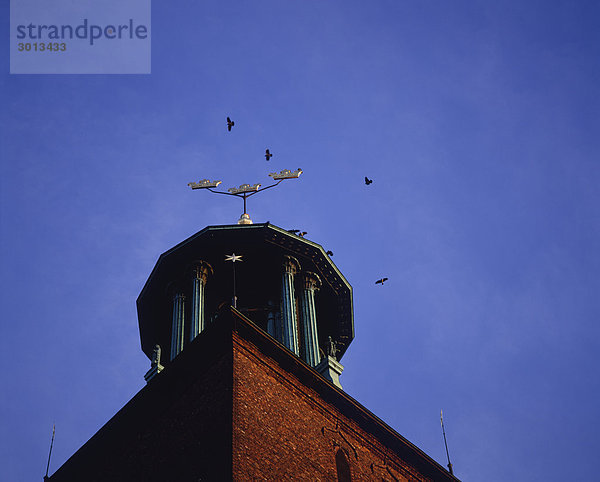 Über Gebäude mit Dach schweben Vögel Schutz Untersicht