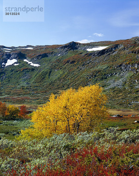 Herbst Landschaft Norwegen.
