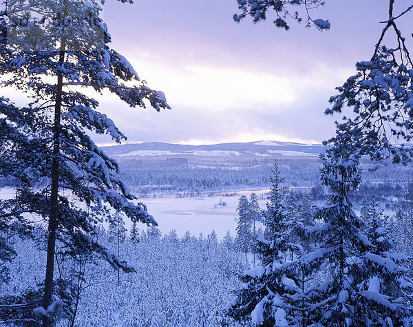 Osterdalalven im winter