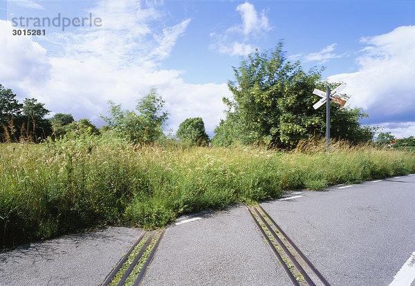 Gleiskörper im Gras